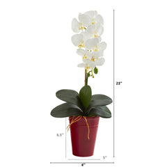 23” Phalaenopsis Orchid Artificial Arrangement in Vase - Ornate Home
