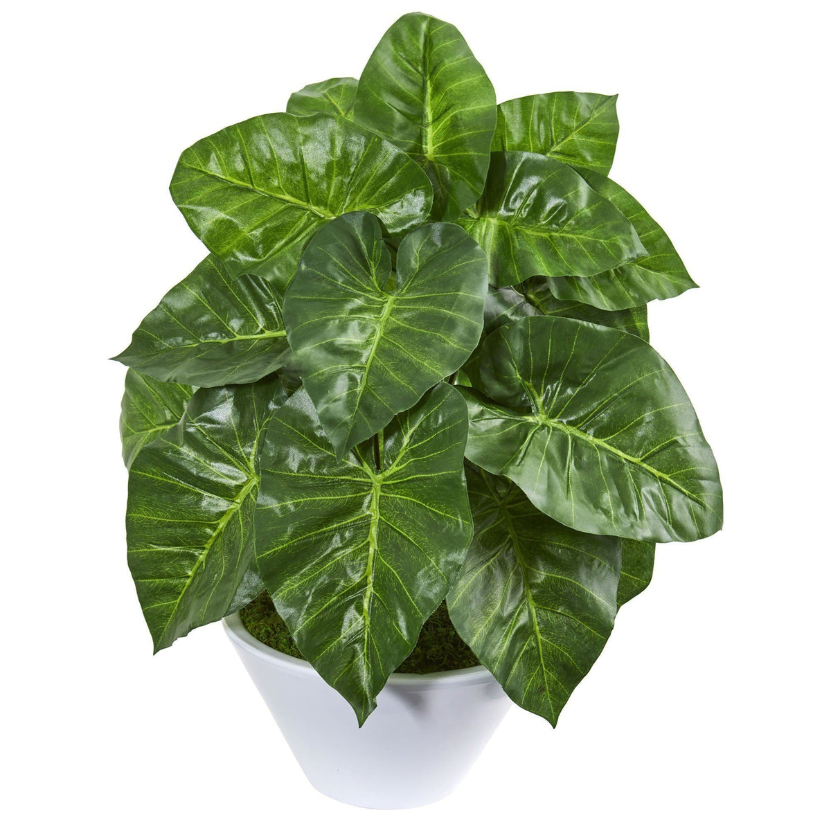 23” Taro Artificial Plant in White Vase