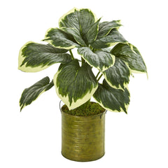 23” Variegated Hosta Artificial Plant in Metal Planter - Ornate Home