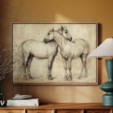 Equine Companionship Study