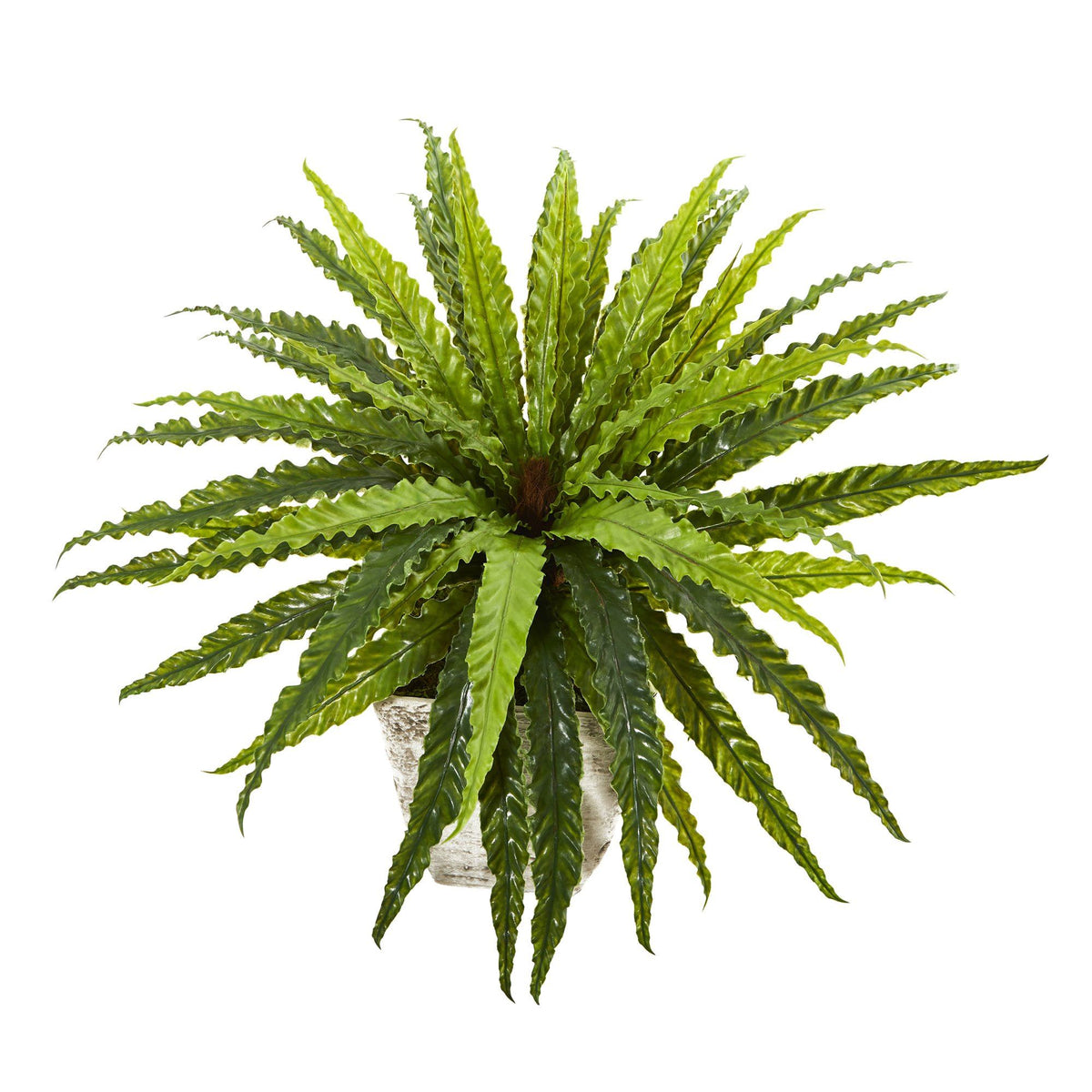 24” Asplenium Artificial Plant in Country White Planter