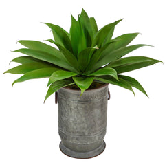 26” Agave Succulent Artificial Plant in Vintage Metal Planter - Ornate Home