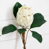 26" Artificial King Protea Flower Stems - Set of 4