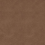WillowBend Caramel Sofa and Recliner