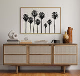 Seven Palms in Perfect Rhythm