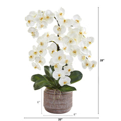 28” Phalaenopsis Orchid Artificial Arrangement in Stoneware Vase - Ornate Home
