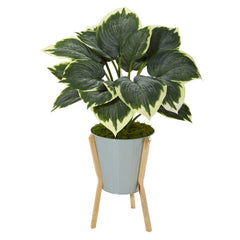 28” Variegated Hosta Artificial Plant in Green Planter with Stand - Ornate Home