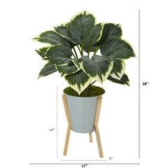 28” Variegated Hosta Artificial Plant in Green Planter with Stand - Ornate Home