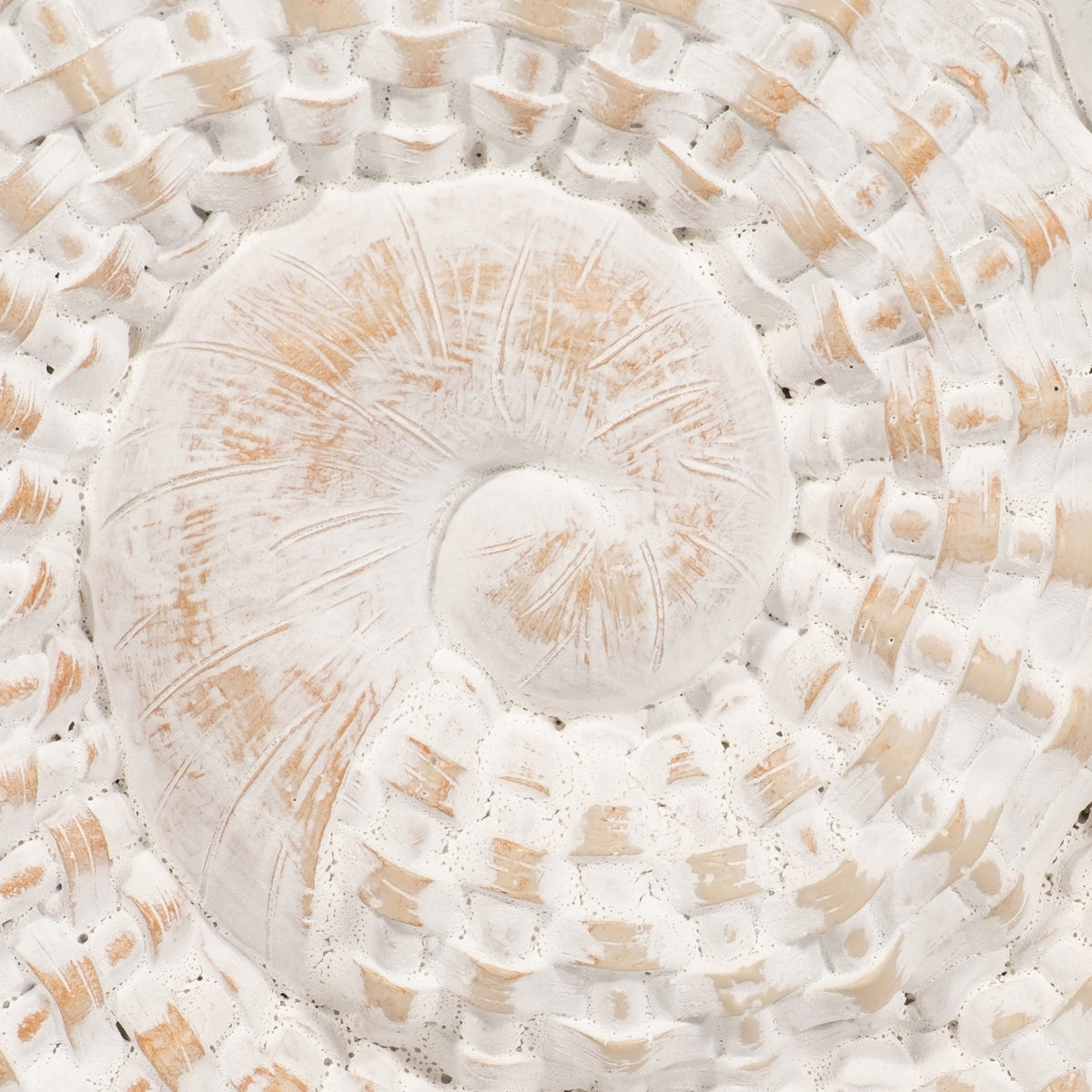 Essexrun White Shell Table Accent Decor