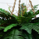 29" Artificial Double Giant Boston Fern Hanging Basket - Ornate Home