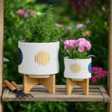Clotho White Funky Planters with Stand (Set of 2)