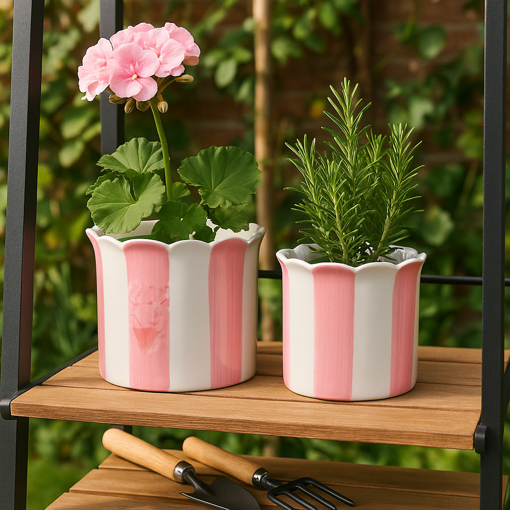 Rafeshaw Pink/White Planters (Set of 2)