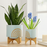 Lovelock Mint Arch Planters with Stand (Set of 2)