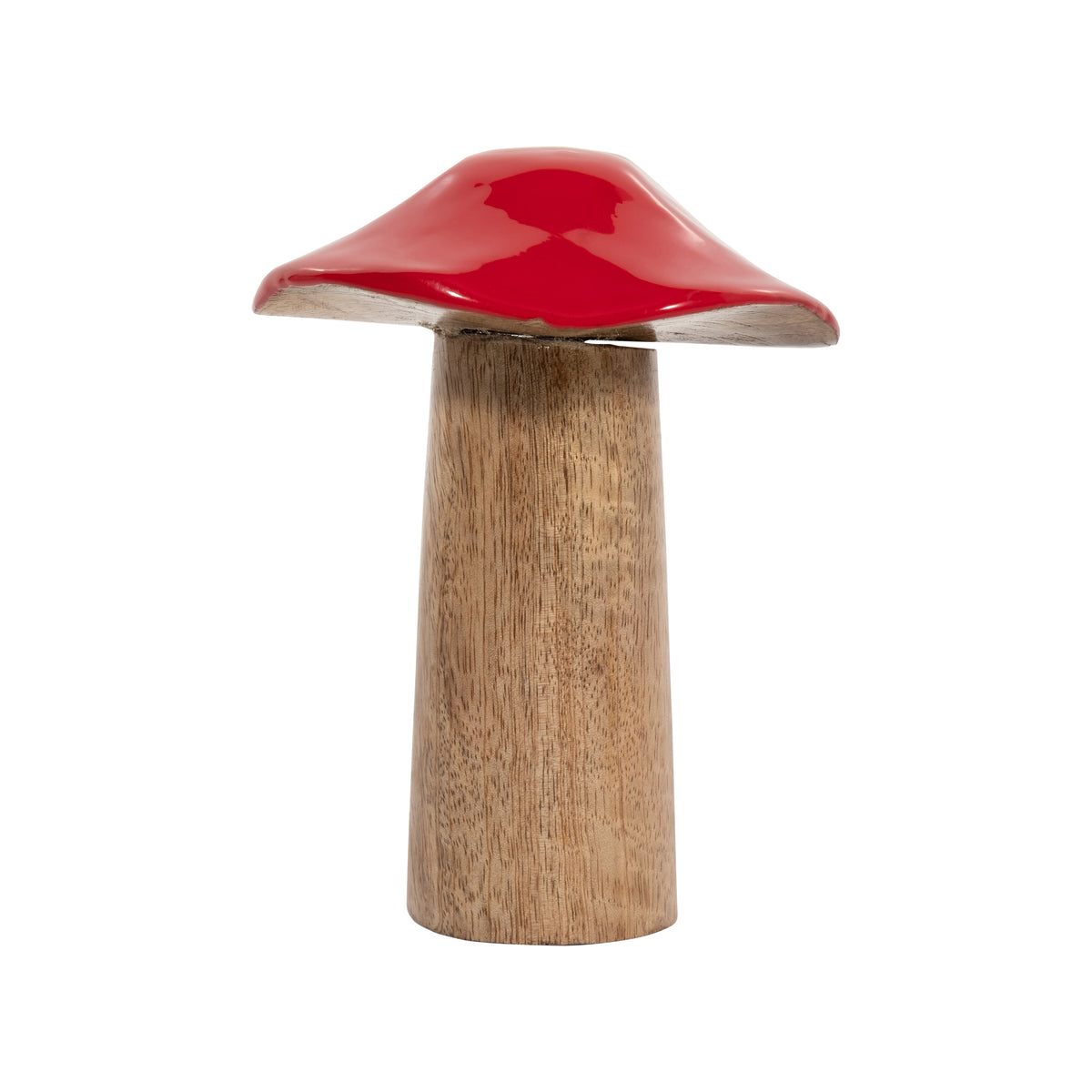 Cedar Stock Red Wood Toadstool Mushroom