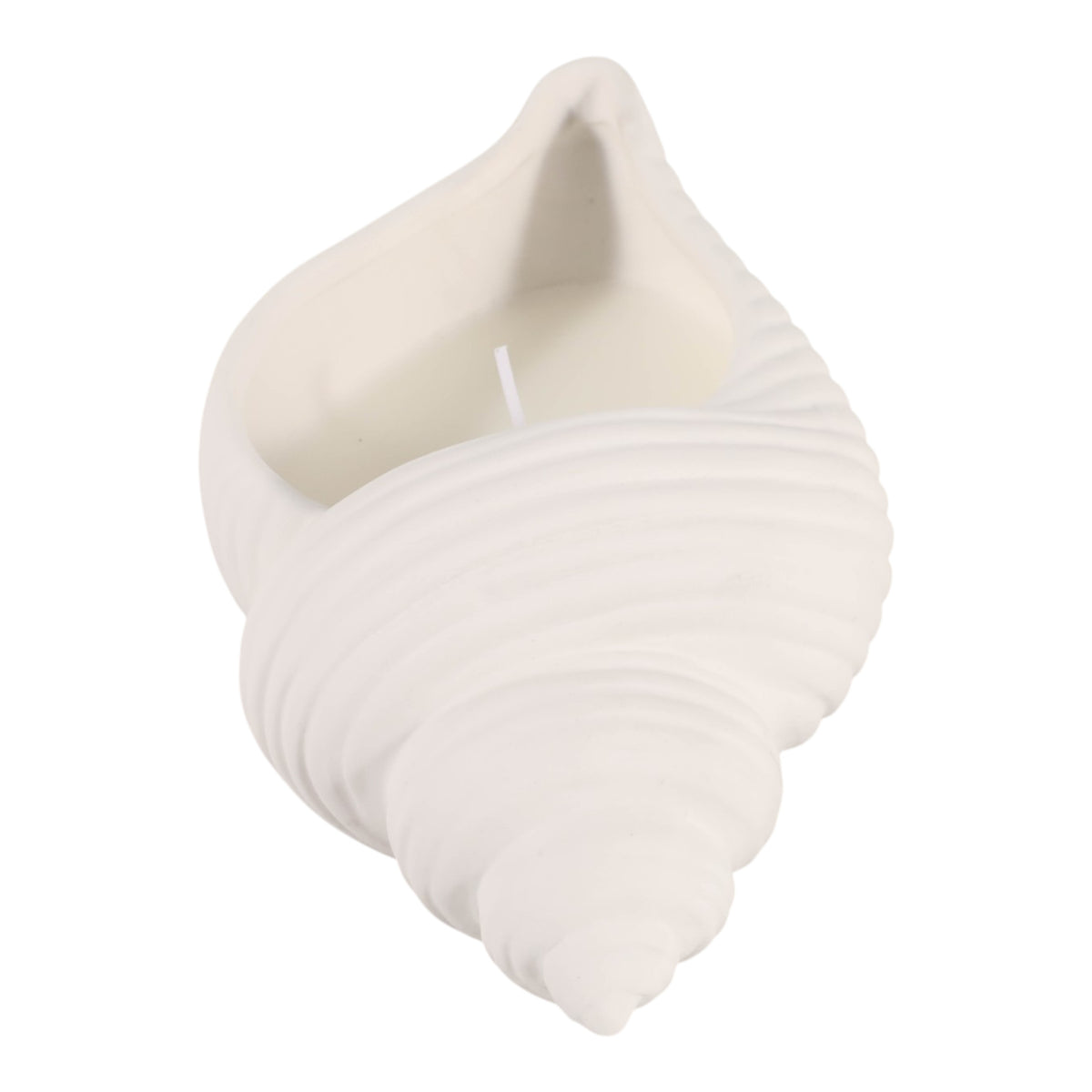 Orcutt White Sea Salt Shell Candle