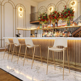 Desi Beige & Gold Barstool (Set of 2)