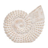 Essexrun White Shell Table Accent Decor