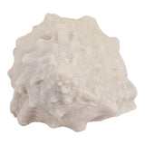 Grantville Tan Resin Sand Cong Shell