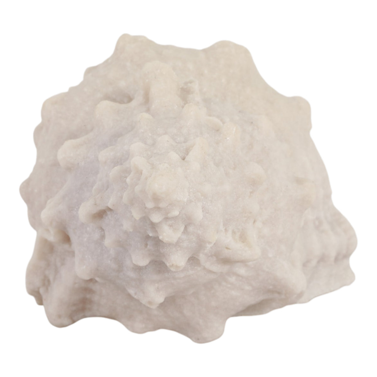 Grantville Tan Resin Sand Cong Shell