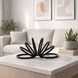 Colusa Black Metal Slinky Ring Decor