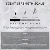 2oz Marine | Bergamot | Jasmine Machine Diffusing Oil (Inspired by The Ritz Carlton Hotel®) - Ornate Home