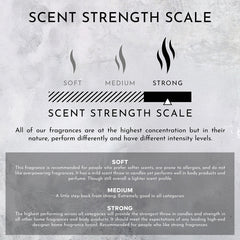 2oz Sea Water | Ozone | Oakmoss Machine Diffusing Oil (Inspired by Davidoff Cool Water®) - Ornate Home