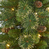 3.5’ Golden Tip Washington Pine Artificial Christmas Tree with 50 Clear Lights, Pine Cones and 148 Bendable Branches in Black Metal Planter