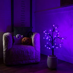 3' Pre-Lit Artificial Halloween Spider Twig Tree with 36 Purple LED Lights - Ornate Home