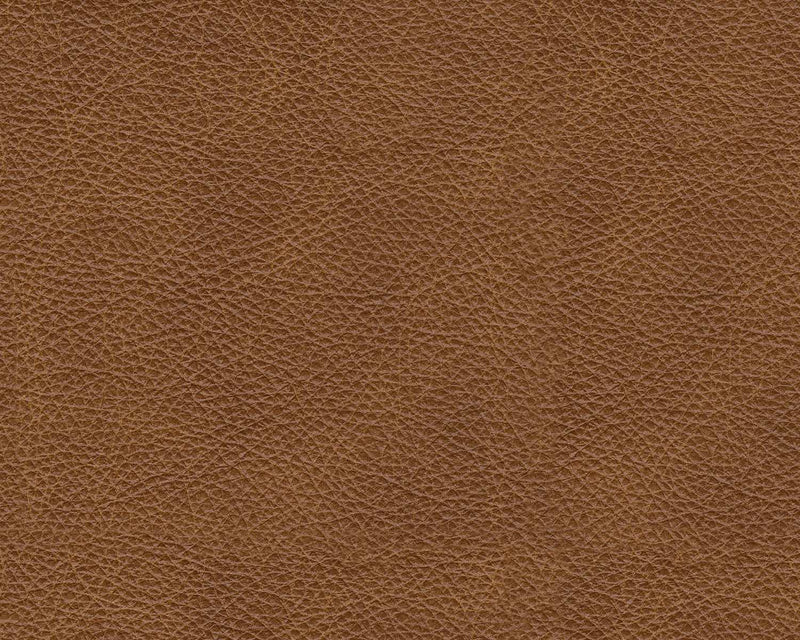Emilia Caramel Leather 6pc Modular Sectional - Ornate Home