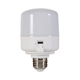 Rechargeable Lightsource (Set of 2)