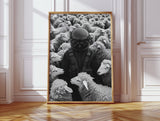 Astronaut Among the Sheep