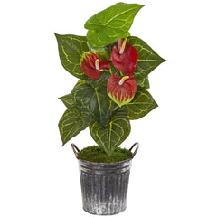 33” Anthurium Artificial Plant in Vintage Bucket (Real Touch) - Ornate Home