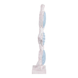 Ortega Light Blue/White 3 Turtle Vertical Stack