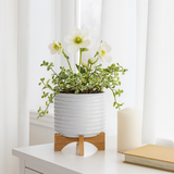 Bombay White/Brown Textured Planter with Stand