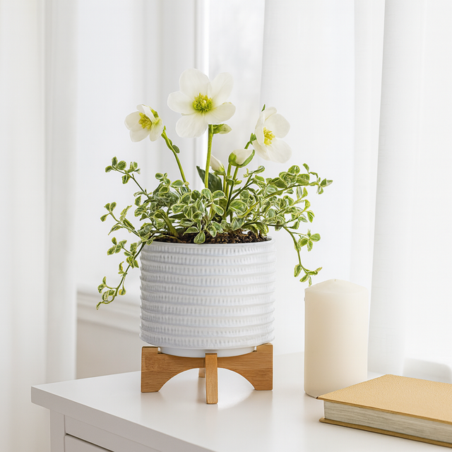 Bombay White/Brown Textured Planter with Stand