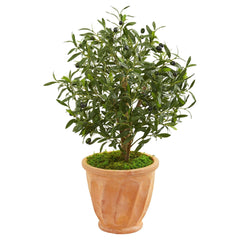 34” Olive Artificial Tree in Terra Cotta Planter - Ornate Home