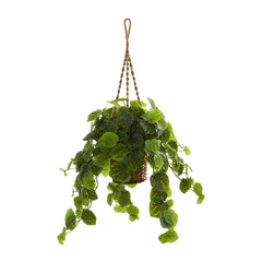 34” Peperomia Artificial Plant in Hanging Basket (Real Touch) - Ornate Home