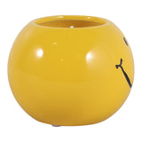 Dixonstone Yellow Coconut Goji Smiley Face Candle