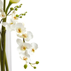35” Phalaenopsis Orchid and Calla Lily Artificial Arrangement in Glass Vase - Ornate Home