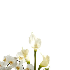 35” Phalaenopsis Orchid and Calla Lily Artificial Arrangement in Glass Vase - Ornate Home