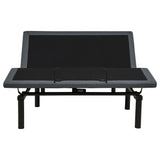 Tasca Black Queen Dual-motor Adjustable Bed Base In