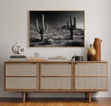 Sentinels of the Sonoran