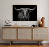 The Monarch of Texas