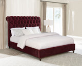 Devon Wine Red Upholstered Queen Panel Bed - Ornate Home