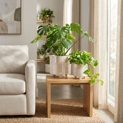 Jasperway Ivory/Tan Planters (Set of 2)