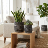 Bellcross Black/Gray Planters (Set of 2)