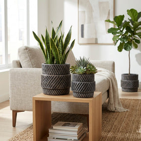 Bellcross Black/Gray Planters (Set of 2)