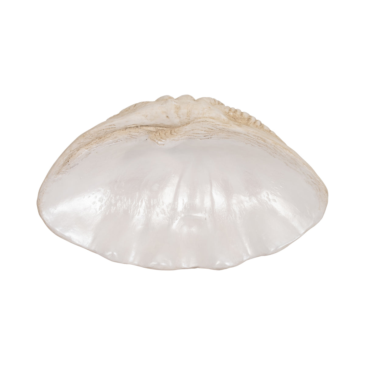 Pennshaw Ivory Pearlized Shell Bowl