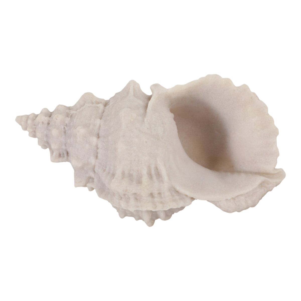 Grantville Tan Resin Sand Cong Shell