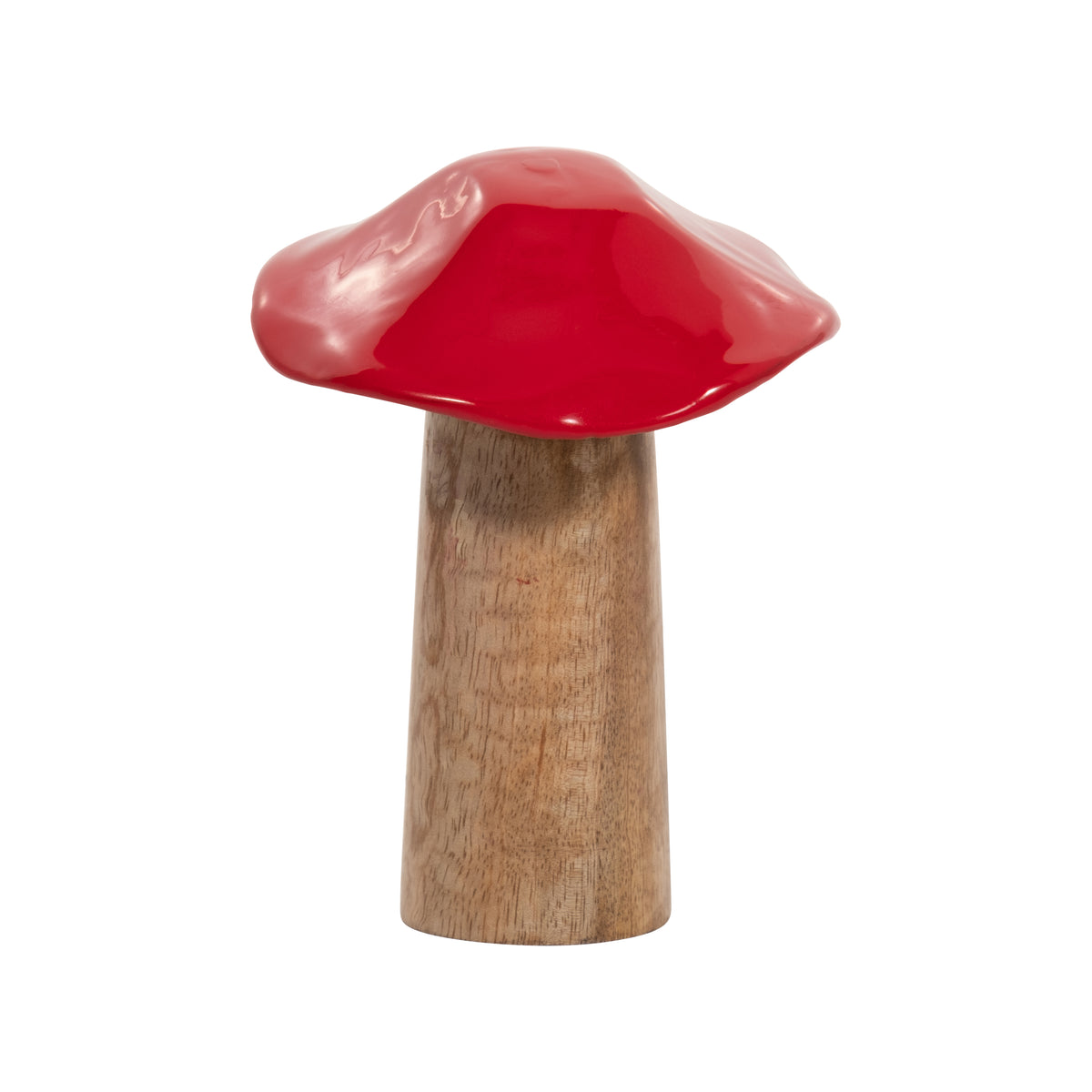 Cedar Stock Red Wood Toadstool Mushroom